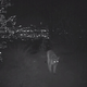 Image for article titled How P-22 Became Hollywood's Most Famous Mountain Lion